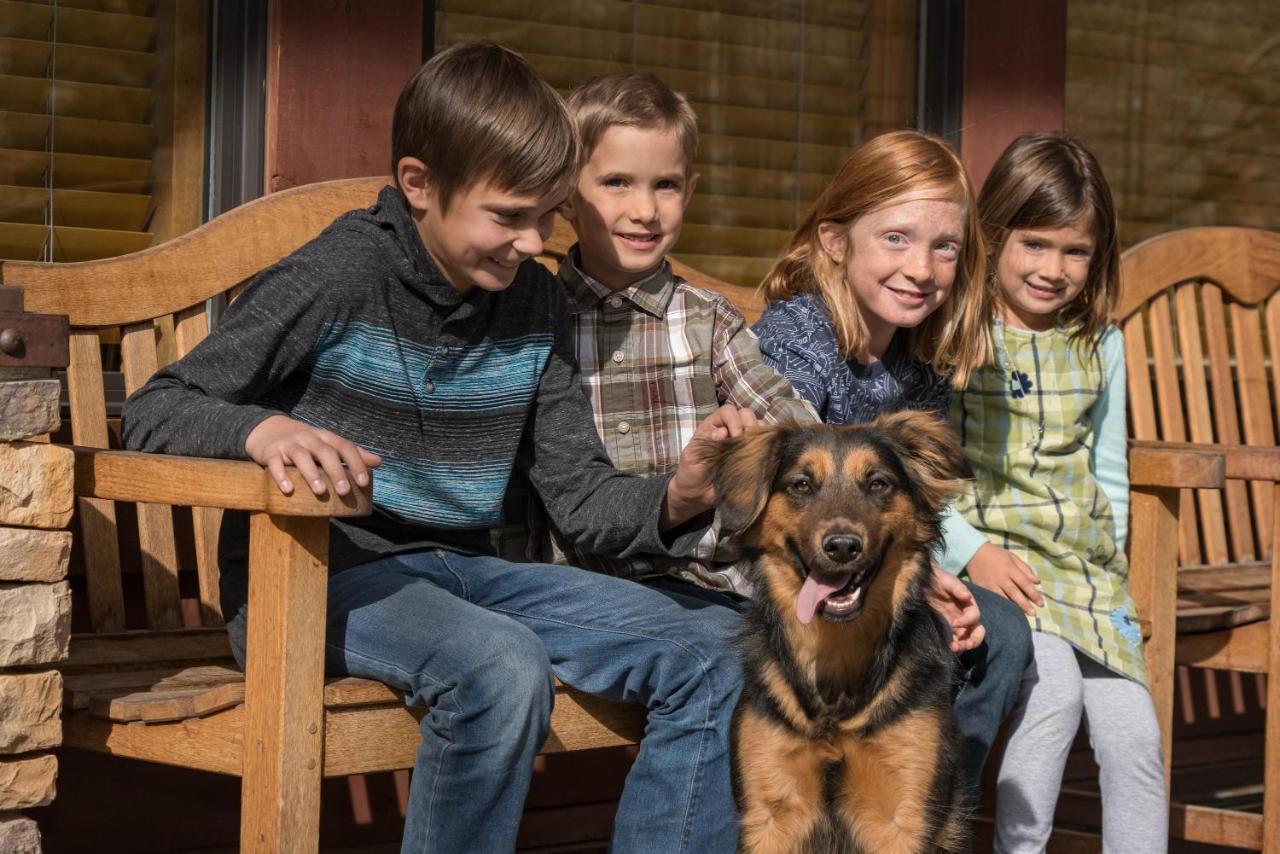 Bear Creek Lodge Telluride Ngoại thất bức ảnh